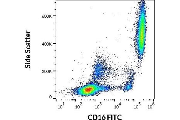 CD16 抗体  (FITC)