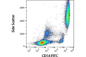 Flow cytometry surface staining pattern of human peripheral whole blood stained using anti-human CD16 (LNK16) FITC (20 μL reagent / 100 μL of peripheral whole blood).