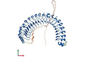 Protein Structure (PS) image for Leucine-rich repeat protein SHOC-2 (SHOC2) (AA 1-582) protein (His tag) (ABIN7562619)