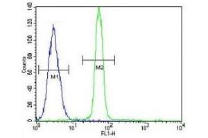 Flow Cytometry (FACS) image for anti-cAMP Responsive Element Binding Protein 1 (CREB1) (AA 105-132) antibody (ABIN3030270)