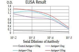 Black line: Control Antigen (100 ng), Purple line: Antigen(10 ng), Blue line: Antigen (50 ng), Red line: Antigen (100 ng), (SALL4 抗体  (AA 954-1053))