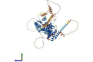 AlphaFold protein structure predicition of Human Recombinant PNPLA8 Protein, UniprotID Q9NP80