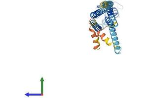 Protein Structure (PS) image for Gap Junction Protein, beta 6, 30kDa (GJB6) (AA 1-261) protein (His tag) (ABIN7556733)