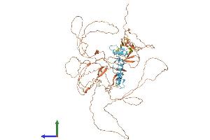 AlphaFold protein structure predicition of Mouse Recombinant Sp4 Protein, UniprotID Q62445 (SP4 Protein (AA 1-782) (His tag))