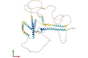 Protein Structure (PS) image for GATA Zinc Finger Domain Containing 2B (GATAD2B) (AA 1-593) protein (His tag) (ABIN7550612)