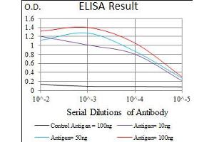 Image no. 3 for anti-Mesoderm Posterior 2 Homolog (Mesp2) antibody (ABIN1491466) (Mesp2 抗体)