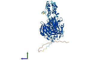 Protein Structure (PS) image for Kelch-Like 3 (KLHL3) (AA 1-587) protein (His tag) (ABIN7548790)
