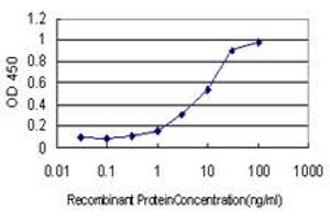 Detection limit for recombinant GST tagged RIT2 is approximately 0. (RIT2 抗体  (AA 1-217))