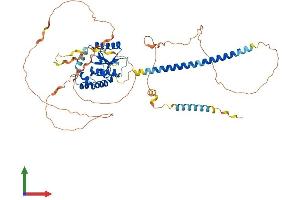 Protein Structure (PS) image for OTU Domain Containing 5 (OTUD5) (AA 1-566) protein (His tag) (ABIN7557138)