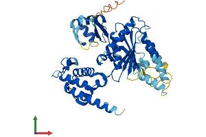 Protein Structure (PS) image for Thyroid Hormone Receptor Interactor 13 (TRIP13) (AA 1-432) protein (His tag) (ABIN7563705)