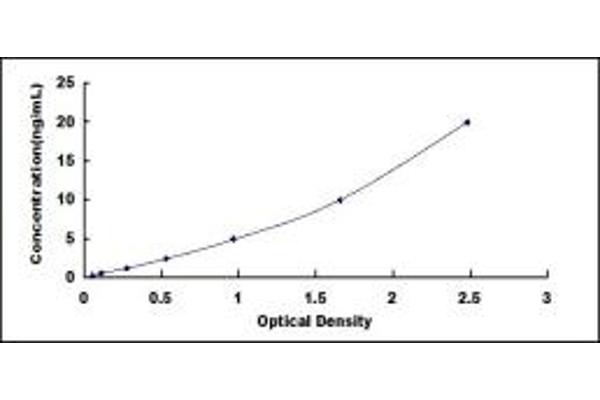 Angiotensin I Converting Enzyme 1 ELISA 试剂盒