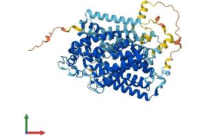 Protein Structure (PS) image for Solute Carrier Family 5 (Sodium/glucose Cotransporter), Member 1 (SLC5A1) (AA 1-665) protein (His tag) (ABIN7559124)