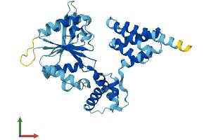 Protein Structure (PS) image for Replication Factor C (Activator 1) 3, 38kDa (RFC3) (AA 1-356) protein (His tag) (ABIN7551326)