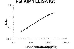 Rat KIM1 PicoKine ELISA Kit standard curve (HAVCR1 ELISA 试剂盒)
