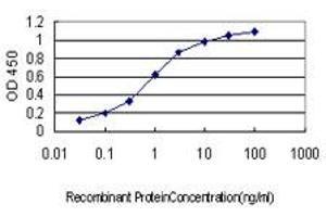 Detection limit for recombinant GST tagged CDH17 is approximately 0. (LI Cadherin 抗体  (AA 24-131))