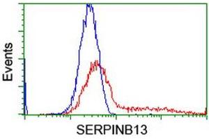 Flow Cytometry (FACS) image for anti-serpin Peptidase Inhibitor, Clade B (Ovalbumin), Member 13 (SERPINB13) antibody (ABIN1500878) (SERPINB13 抗体)