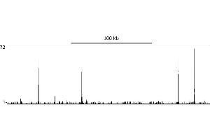 ChIP DNA-Sequencing (ChIP-seq) image for anti-Tripartite Motif Containing 24 (TRIM24) (AA 700-750) antibody (ABIN7454678) (TRIM24 抗体  (AA 700-750))