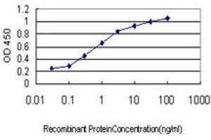 Detection limit for recombinant GST tagged SENP6 is approximately 0. (SENP6 抗体  (AA 1-110))