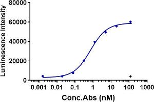The internalization rate of the anti- human CLDN6( IMAB027)in human CLDN6 HEK293 cells increased in an antibody concentration-dependent manner, reaching 60 % at 1 nM. (Recombinant Claudin 6 抗体)