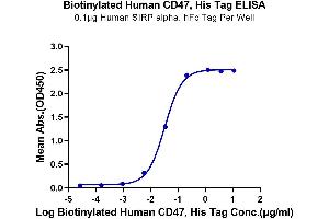 Immobilized Human SIRP alpha, hFc Tag at 1 μg/mL (100 μL/well) on the plate.