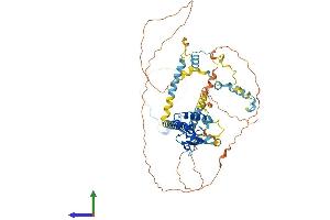 Protein Structure (PS) image for Spire Homolog 1 (Drosophila) (SPIRE1) (AA 1-598) protein (His tag) (ABIN7563791)