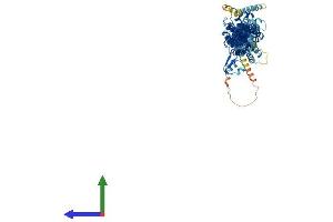 Protein Structure (PS) image for Exocyst Complex Component 6 (EXOC6) (AA 1-802) protein (His tag) (ABIN7564695)