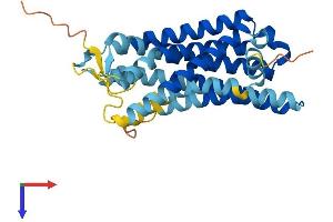 OR2C1 Protein (AA 1-312) (His tag)