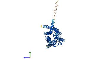 Protein Structure (PS) image for Adenosine A3 Receptor (ADORA3) (AA 1-318) protein (His tag) (ABIN7551784)