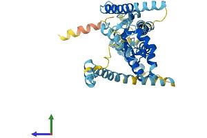 Protein Structure (PS) image for Peroxisomal Biogenesis Factor 12 (PEX12) (AA 1-359) protein (His tag) (ABIN7559799)