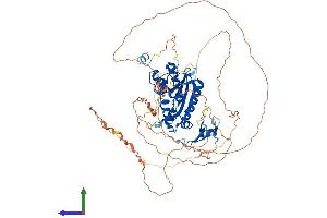 AlphaFold protein structure predicition of Human Recombinant ERI2 Protein, UniprotID A8K979