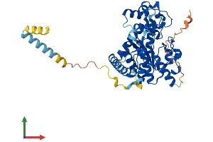 Protein Structure (PS) image for Galactose-3-O-Sulfotransferase 3 (GAL3ST3) (AA 1-431) protein (His tag) (ABIN7547813)