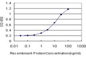 Detection limit for recombinant GST tagged RAD1 is approximately 0. (RAD1 抗体  (AA 1-90))