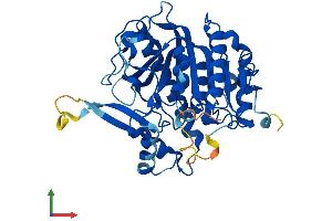 Protein Structure (PS) image for Platelet-Activating Factor Acetylhydrolase 2, 40kDa (PAFAH2) (AA 1-392) protein (His tag) (ABIN7550613)