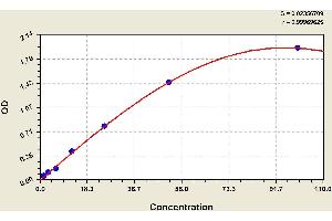 ELISA image for Complement Factor B (CFB) ELISA Kit (ABIN1114331) (Complement Factor B ELISA 试剂盒)