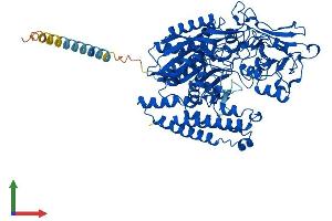 Protein Structure (PS) image for Folate Hydrolase (Prostate-Specific Membrane Antigen) 1 (FOLH1) (AA 1-752) protein (His tag) (ABIN7562315)