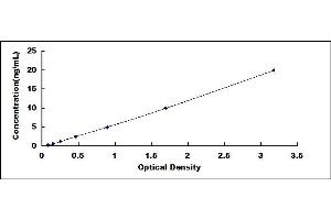 Typical standard curve (Asporin ELISA 试剂盒)