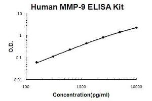 Human MMP-9 PicoKine ELISA Kit standard curve (MMP 9 ELISA 试剂盒)