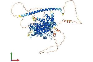 AlphaFold protein structure predicition of Human Recombinant GIT2 Protein, UniprotID Q14161 (GIT2 Protein (AA 1-759) (His tag))