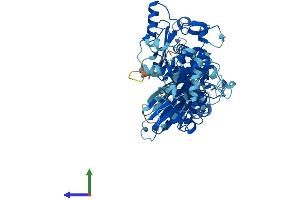 Protein Structure (PS) image for Calpain 9 (CAPN9) (AA 1-690) protein (His tag) (ABIN7552962)