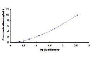 Glutamate Receptor, Ionotropic, AMPA 3 (GRIA3) ELISA Kit