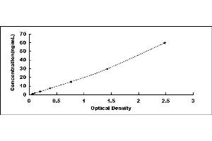 Typical standard curve (SERPINC1 ELISA 试剂盒)