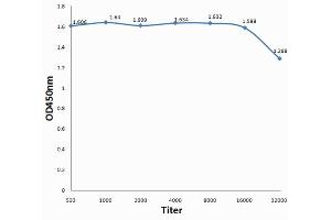 Antigen: BSA, 1ug/100ul, Primary:, 1:500, 1:1000, 1:2000, 1:4000, 1:8000, 1:16000, 1:32000, Secondary: HRP conjugated Goat Anti-Rabbit IgG at 1: 5000, TMB staining Read the data in MicroplateReader by 450nm. (BSA 抗体)