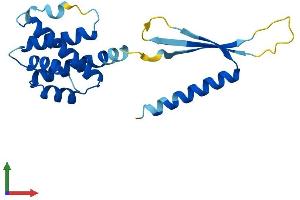 Protein Structure (PS) image for COMM Domain Containing 3 (COMMD3) (AA 1-195) protein (His tag) (ABIN7546668)