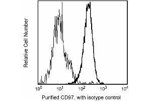 Profile of PHA-activated (dark line) and resting (light line) peripheral blood lymphocytes analyzed on a FACScan (BDIS, San Jose, CA) (CD97 抗体)