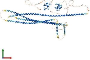 Protein Structure (PS) image for CAP-GLY Domain Containing Linker Protein 2 (CLIP2) (AA 1-1046) protein (His tag) (ABIN7553398)