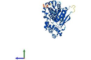 AlphaFold protein structure predicition of Human Recombinant ABHD1 Protein, UniprotID Q96SE0