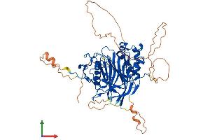 Protein Structure (PS) image for Angel Homolog 2 (ANGEL2) (AA 1-544) protein (His tag) (ABIN7552278)