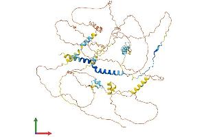 Protein Structure (PS) image for Protein Phosphatase 1, Regulatory Subunit 15B (PPP1R15B) (AA 1-713) protein (His tag) (ABIN7550917)