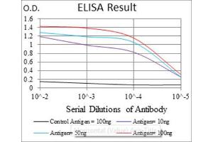 Red: Control Antigen (100ng) ; Purple: Antigen (10ng) ; Green: Antigen (50ng) ; Blue: Antigen (100ng). (ASS1 抗体)