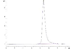 Size-exclusion chromatography-High Pressure Liquid Chromatography (SEC-HPLC) image for B and T Lymphocyte Associated (BTLA) (AA 30-176) protein (His tag) (ABIN7274000)
